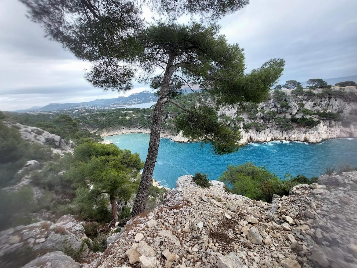 Superbe Des Catalans Marseilles